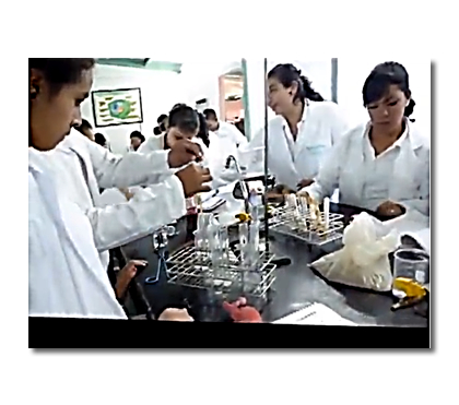 Proyecto 1