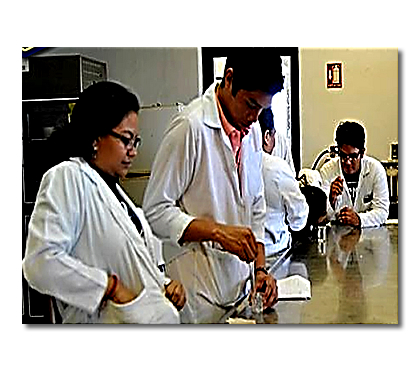 Proyecto 2