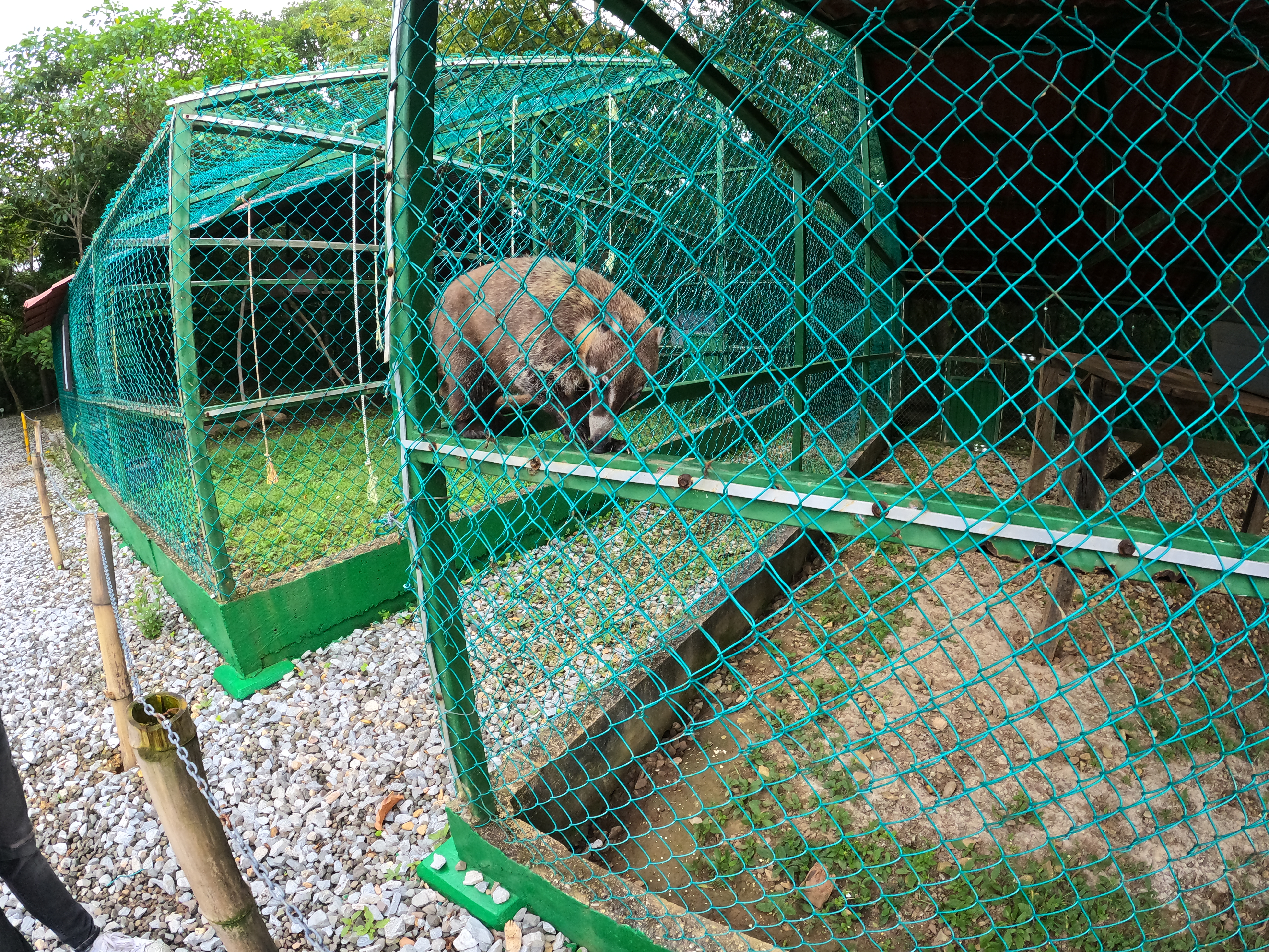 Parque Jaguaroundi