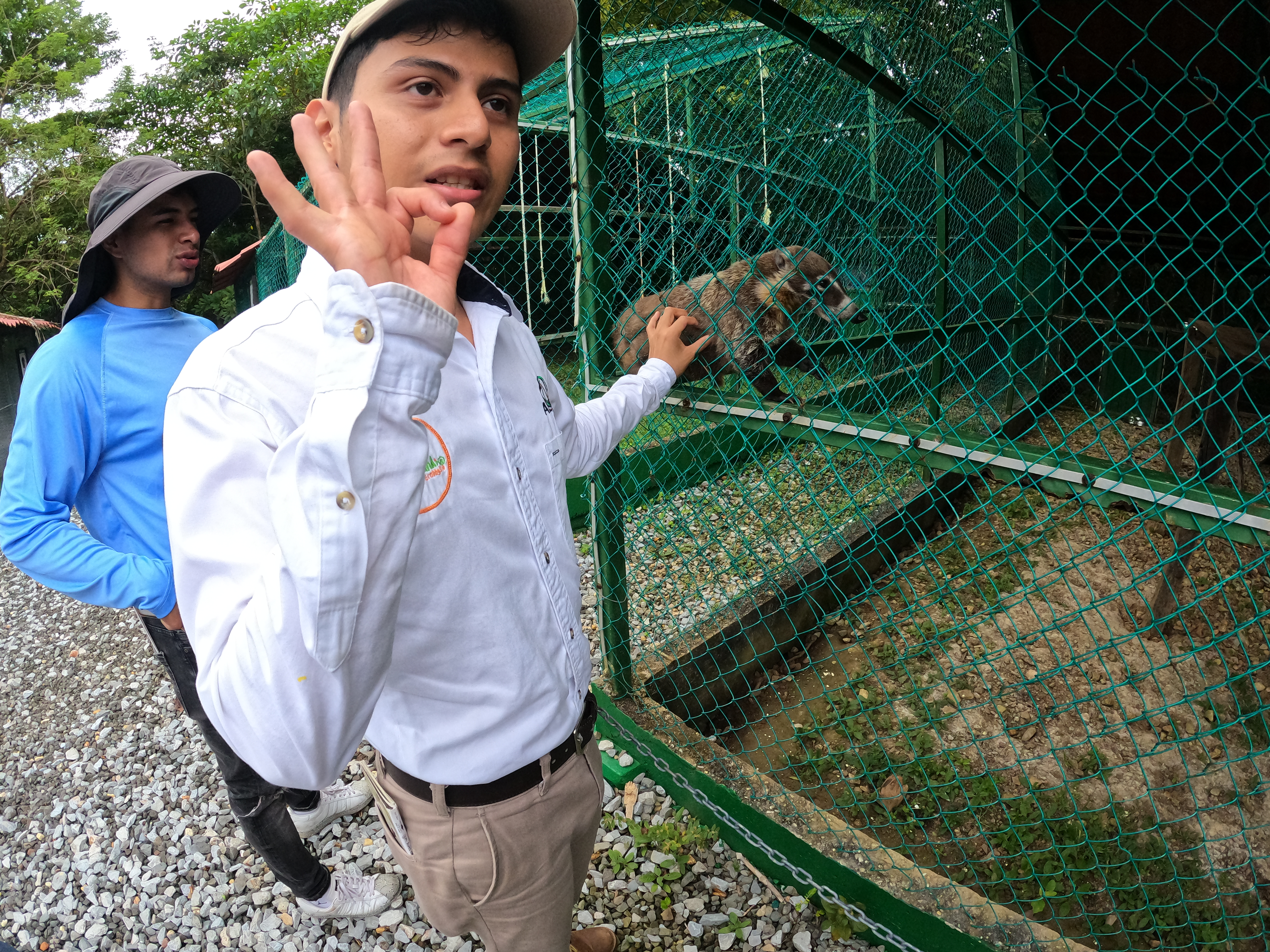 Parque Jaguaroundi