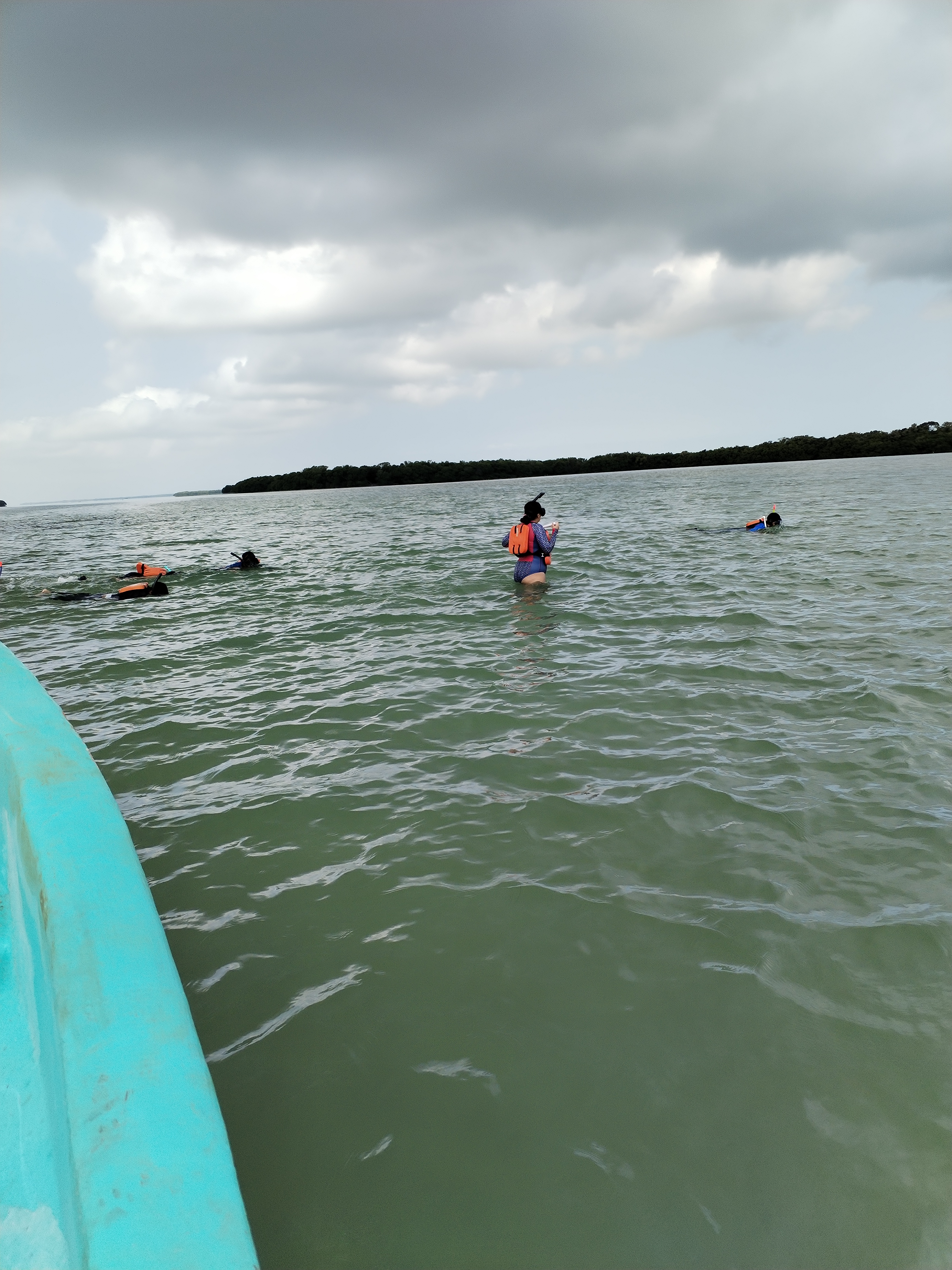 Ecología marina
