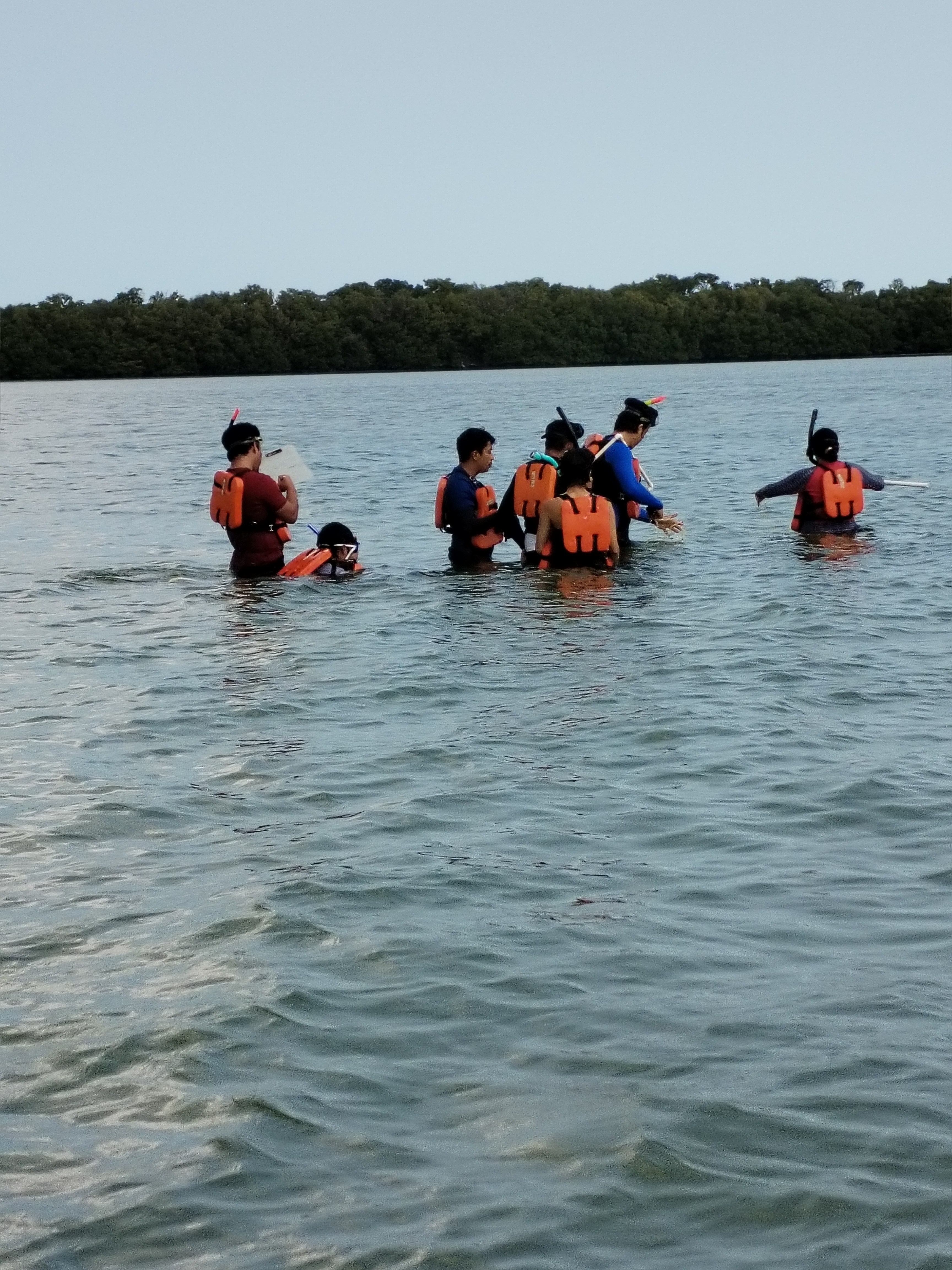 Ecología marina