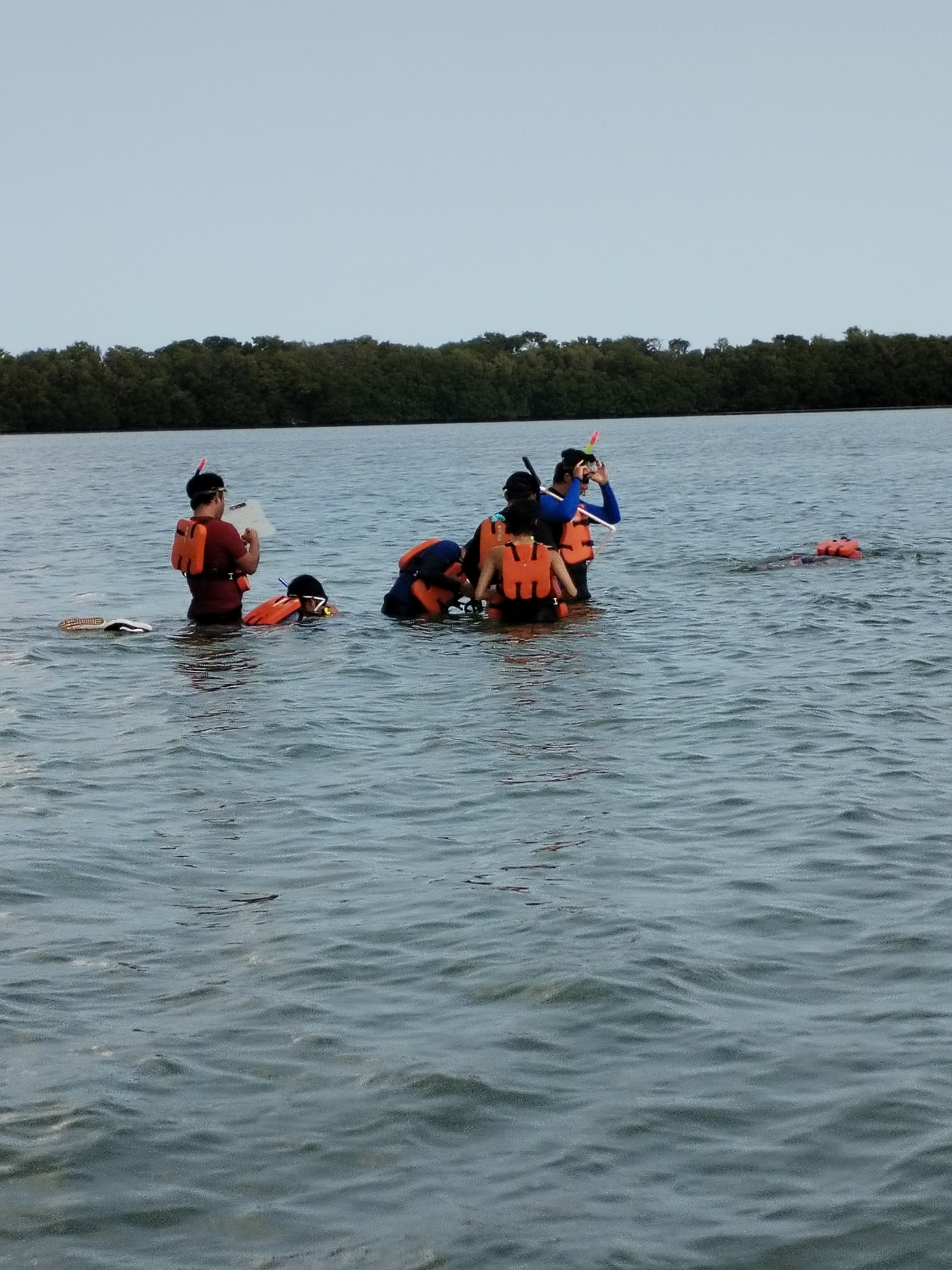 Ecología marina