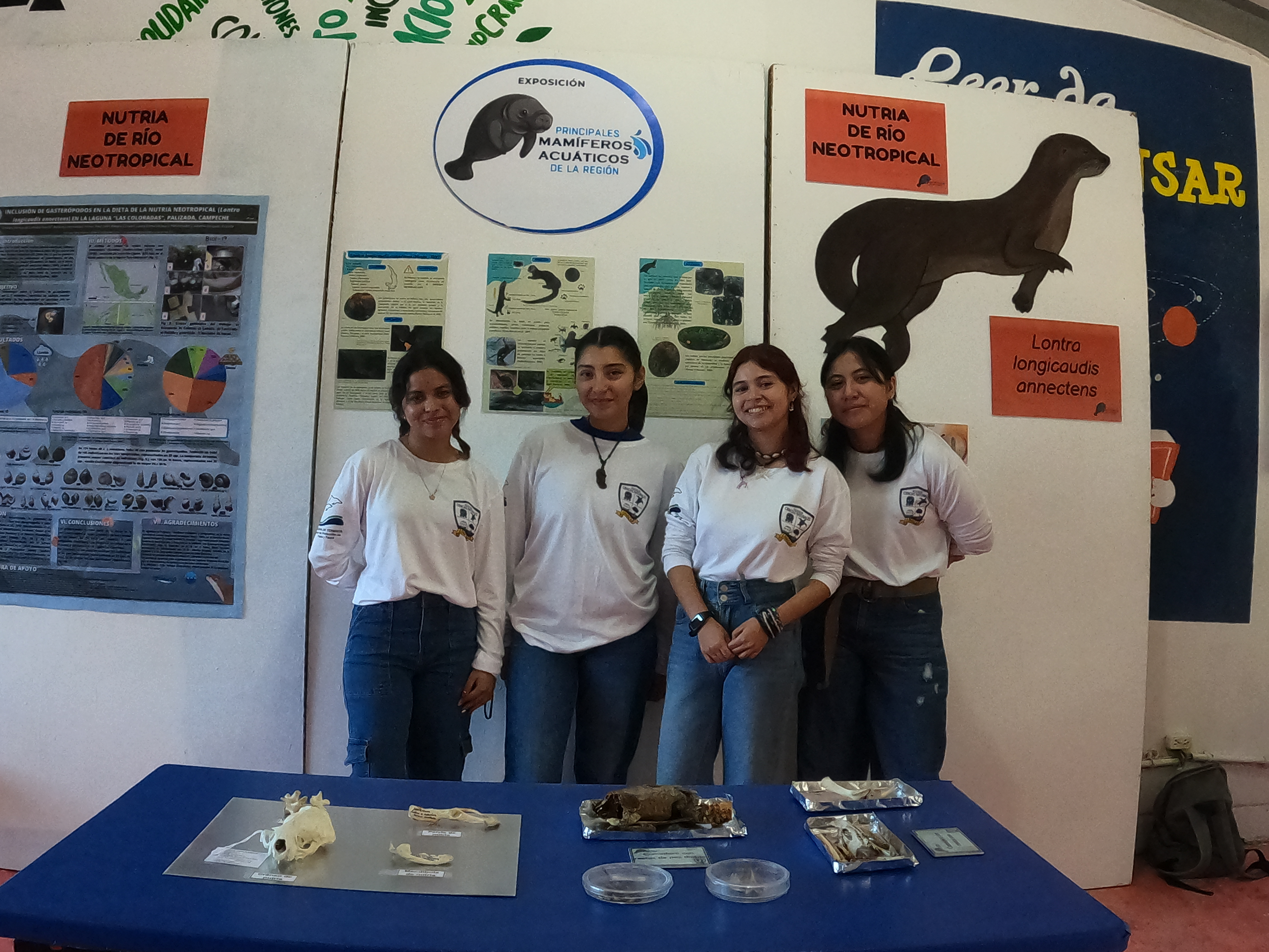 Ecología marina