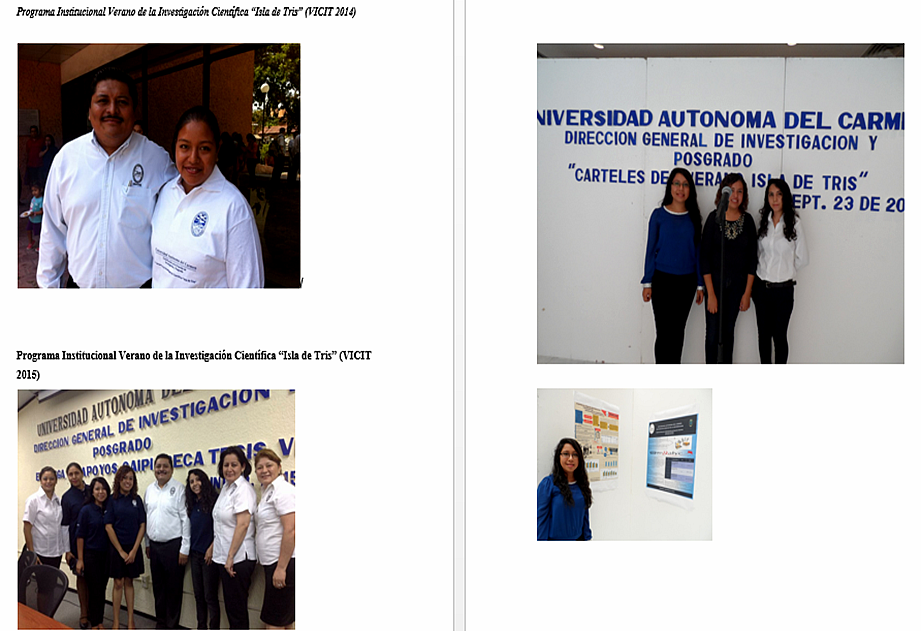 Veranos de Investigación