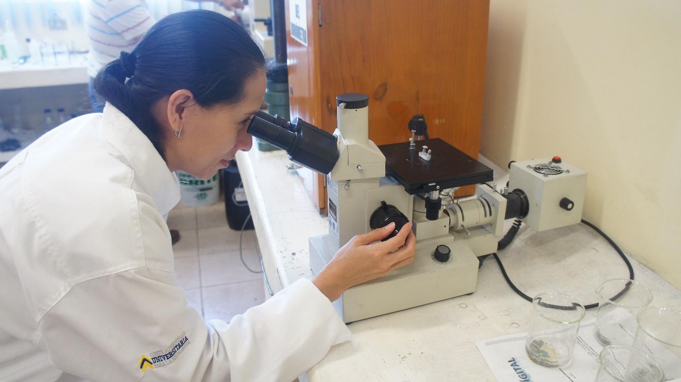 Maestría en Ingeniería de Materiales y Energía