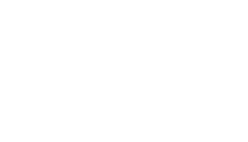 Logo INE